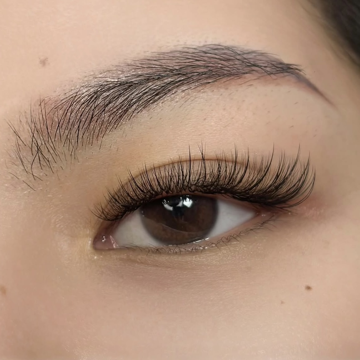 Lash extension close-up, Shiwa Lash by Nene